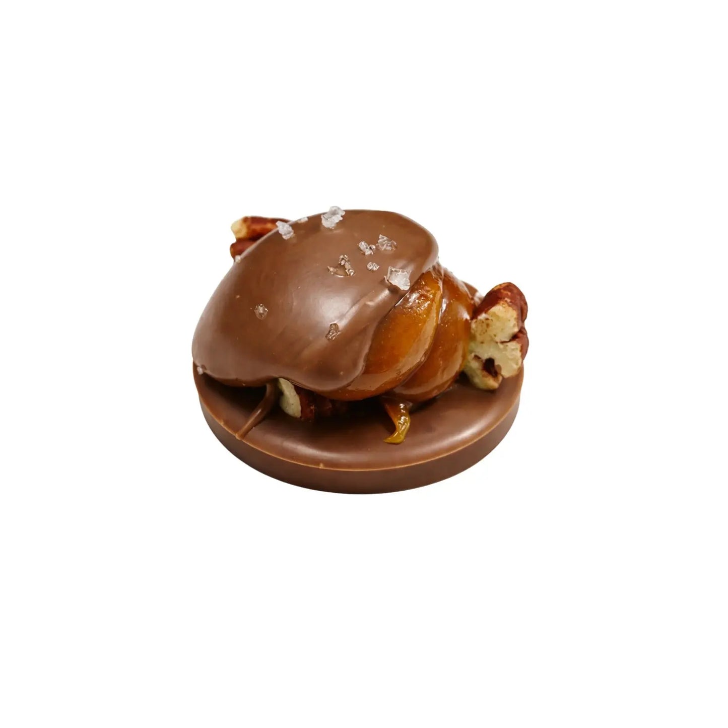 Chocolate Pecan Delights Aunt Bethany