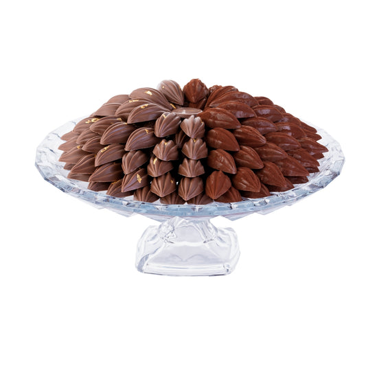TRAY 20
