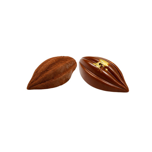 Golden Cocoa Leaves